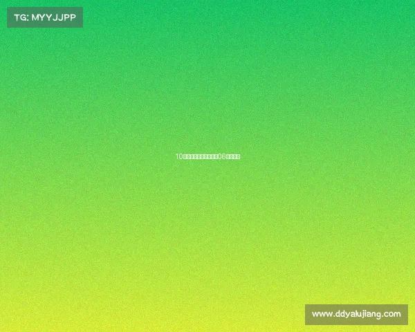 10万级插混旅行车，海豹06旅行版！